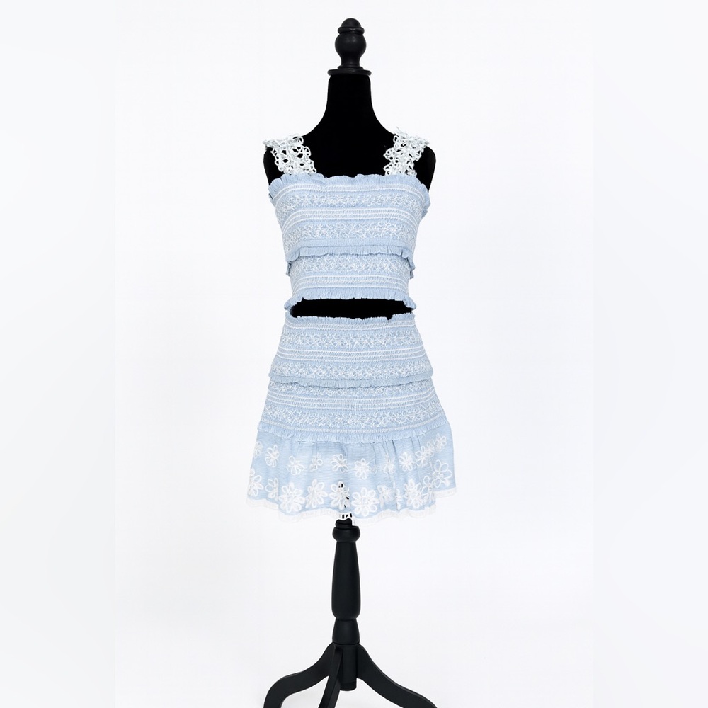 Saylor Used Blue Stripe Crop Top & Skirt M